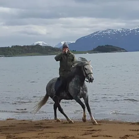 Apartman Kjorsvik Ovre *