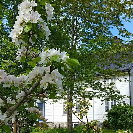 Kjorsvik Ovre Tornes