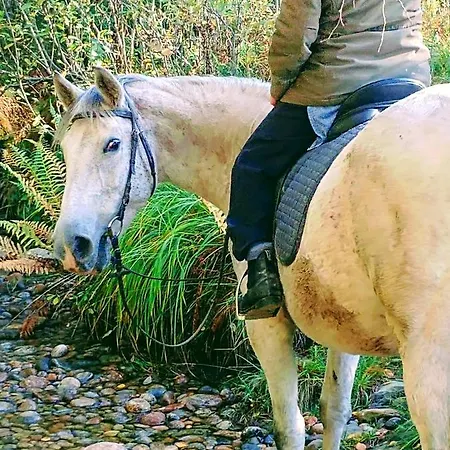 Kjorsvik Ovre Apartman